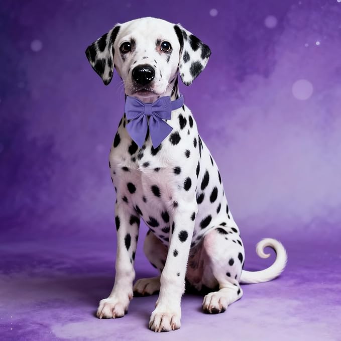 Maca Bates Purple Dog Collar with Cute Petunia Solid Sailor Bow Tie,Large Girl Boy Dogs,Girly Adjustbale Durable Breakaway Soft Collars with Bowtie for Female Male Puppy,Pet with Metal Buckle