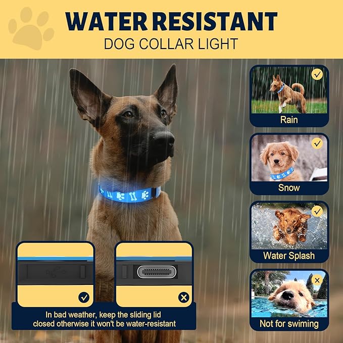 Light Up Dog Collar, 15-in-1 Light Modes/ 3D Design/Adjustable/Rechargeable LED Dog Collar for Night Walking, Safety Dog Glowing Collar, Blue