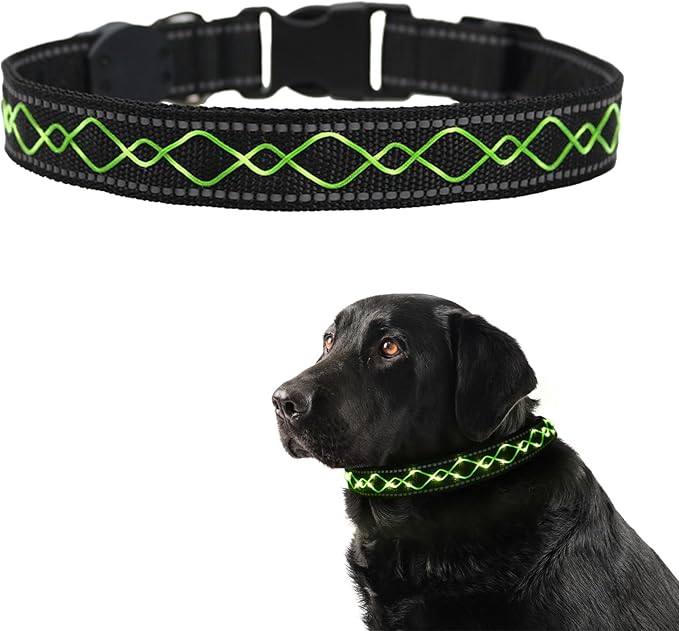 Luwint Stylish Light Up Dog Collar, LED Dog Collar USB Rechargeable - Safety Glow in The Dark for Night Walking & Camping | Adjustable, Waterproof, High Visibility Green