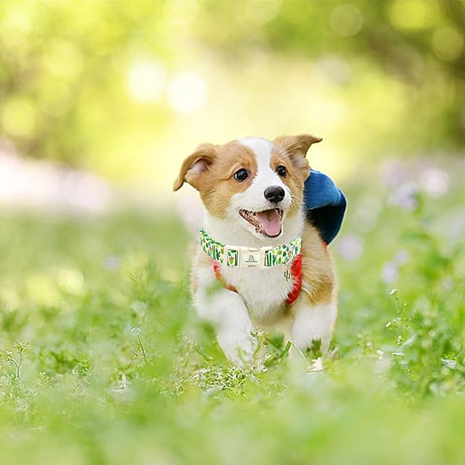 Lionheart glory Dog Collar Green Cactus Print Collar for Medium Dogs Spring Summer Female or Male Collars Pets Gift Adjustable Heavy-Duty Cute Pet Collars