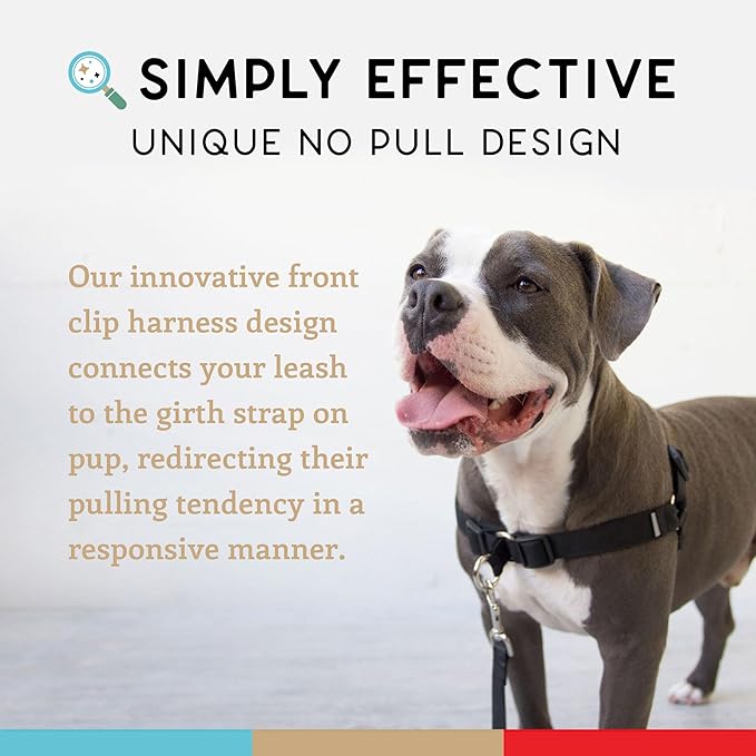 Wildebeest No Pull Dog Harness | Comfortable Training Harnesses | Effective No Pull Harness Design | Ideal for Small Dog and Puppy | 4-Point Adjustable (XS - 15~20 inch Girth, Black)