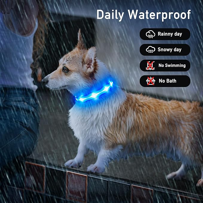 Light Up Dog Collars for Small Medium Large Dogs, Adjustable LED Dog Collar, Rechargeable Soft Glow Collar for Dog Cat Night Walking, Blue