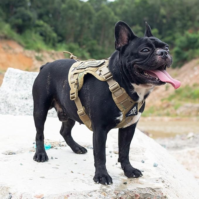 Tactical Dog Harness Vest with Handle, Military Dog Harness for Large Medium Dogs,No-Pull Service Dog Vest with Hook & Loop Panels,Adjustable Dog Vest Harness for Walking Hiking Training（Camo,M）