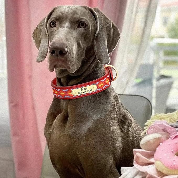 Exotic Custom Dog Collars PU Leather Personalized Pet Name ID Collar Padded Ethnic Collars Adjustable for Small Medium Large Dog Red L