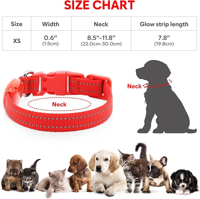 Light Up Dog Collar - Reflective LED Puppy Collar Rechargeable Glow in The Dark Cat Collar High Visibility Safety Dog Lights for Night Walking (XS, Red)