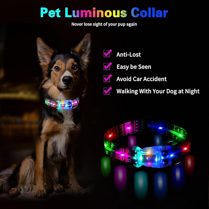 Light Up Dog Collars,LED Dog Collar Rechargeable Waterproof,2-in-1 Buckle Type Glow Dog Collar for Small to Large Dogs,XL(Bohemian Purple)