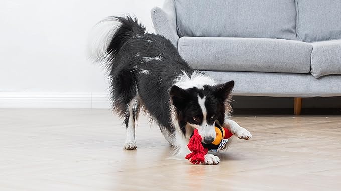 The Dodo Treat Dispensing Toy for Dogs with Rope Legs for Chewing, Treat Hide Enrichment Toy and Dispenser