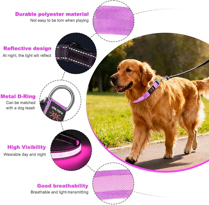 LED Dog Collar, Light Up Dog Collar Adjustable USB Rechargeable High Visibility Dog Light Glowing Pet Collars for Small Dogs (Pink, S)