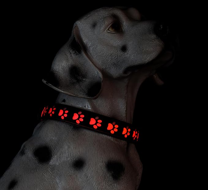 Subversive USB-C led Light up Dog Collar, Subversive 3D Cross Design Comfortable and Soft Material,Multicolored Lighting (PAW-Black, XS(7.87-11.8"))