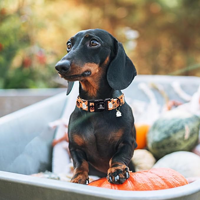 Lionheart glory Halloween Dog Collar-Pumpkin Ghosts Fall Dog Collars with Cute Pendant Soft Adjustable Collar for X-Small Puppy Dogs Girls Boys Collars Party Pet Gift
