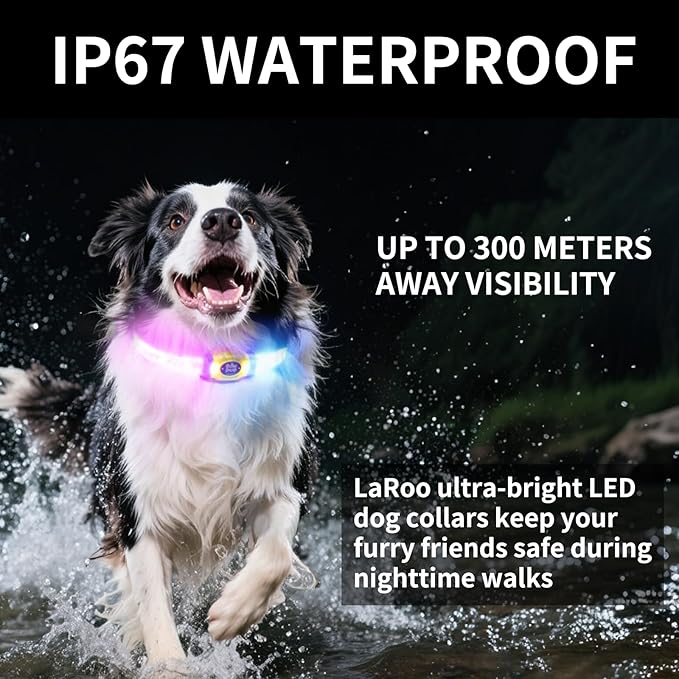 LaRoo LED Light Up Dog Collar, Multi-Color Glowing Safety Pet Collar, Rechargeable Night Visibility Collar, Pet Safety Collar Makes Your Beloved Dogs Be Seen at Night for Small Medium Dogs(Blue)