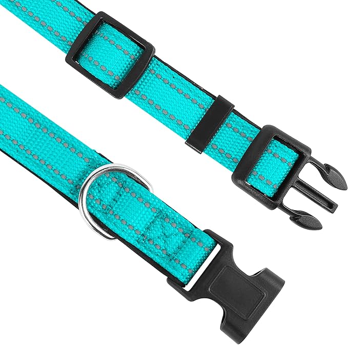 Reflective Dog Collar, Adjustable Soft Neoprene Padded Nylon Pet Collars with Buckle for Large Dogs, Turquoise,L