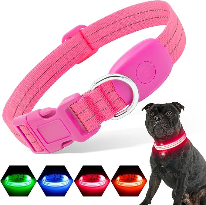 Light Up Dog Collars Rechargeable, Reflective LED Glow Dark Dog Collar for Small Medium Large Dogs, Adjustable Pet Dog Lights for Safe Night Walk-Pink, Small