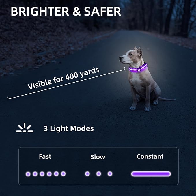 LED Dog Collar for Small Dogs Cats - Fully Waterproof & Adjustable Glow Collar - USB-C Rechargeable for Night Walking, Safety - Flashing Lighted Collar for Dogs(Purple,S)