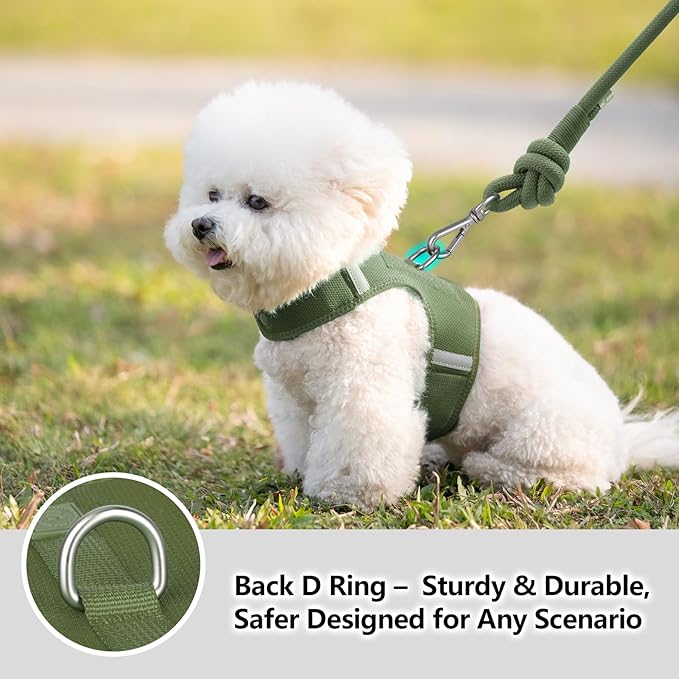 Dog Harness for Puppy – Adjustable Reflective Easy Put On Soft Mesh Vest for Small Dogs with 2 Patches (Misty Green,L)