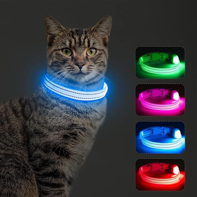 Light Up Dog Collar for Small Dogs, LED Dog Collar Rechargeable Safety Dog Lights, Fully Adjustable Glow in The Dark Dog Collar Light for Night Walking & Camping (X-Small, Blue)