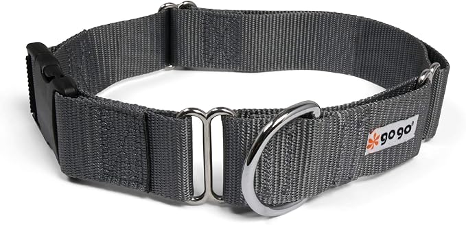 GOGO Pet Products Martingale Dog Collar, X-Large, Gray