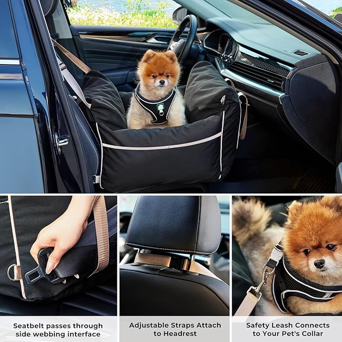 Dog Car Seat for Small to Medium Dogs - Waterproof Pet Booster Seat for Car with Clip-On Safety Leash, Travel Carrier for Puppy up to 25 lbs, Memory Foam Filling & Adjustable Buckles, Grey