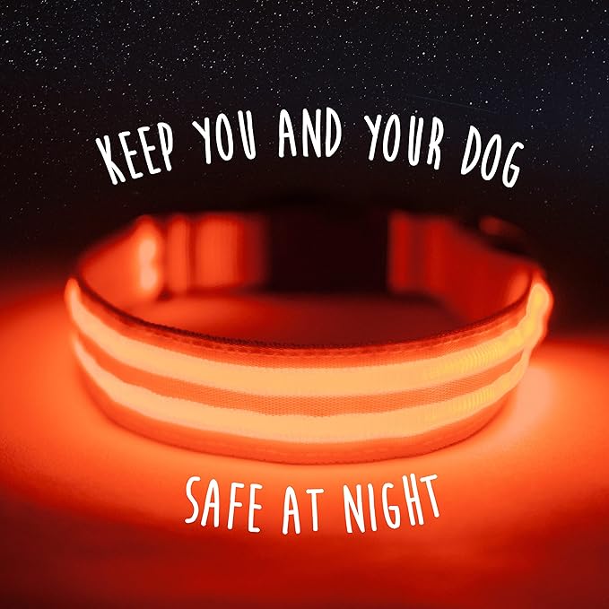 Mighty Paw LED Dog Collar - USB Rechargeable LED - High Visibility Glow Pet Strips - Weather Resistant - 3 Bright Light Modes for Nighttime Dog Safety - Collar USB (S, Orange)