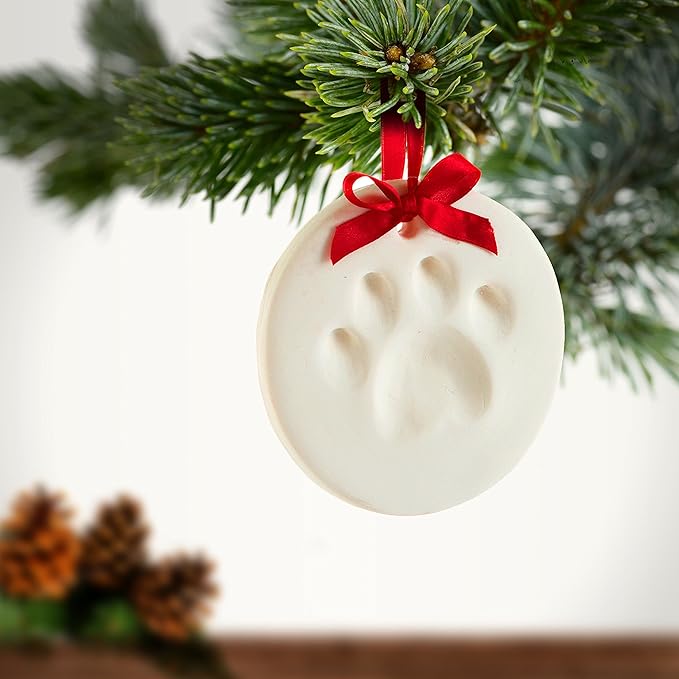 Tiny Ideas Christmas Paw Print Ornament Kit, DIY No Bake No Mess Holiday Keepsake, Dog or Cat Christmas Ornament, Pet Memorial Keepsake