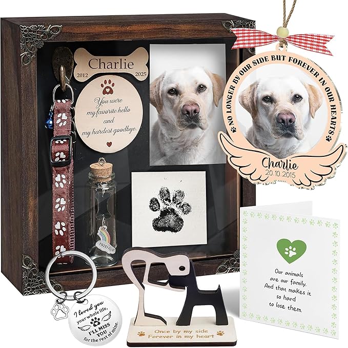Personalized Shadow Box Dog Memorial Gift Collar Holder Picture Frame Sympathy Wood Pet Dog Cat Sculptures Fur Jar Rainbow Bridge Hair Teeth Keepsake Idea Gift for Pet Lover Tabletop Wall Hanging