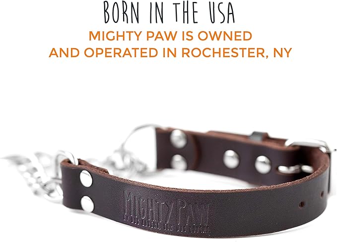 Mighty Paw Martingale Dog Collar - No Pull Design - Stainless Steel Chain - Limited Chain Cinch Training - Brown Leather Martingale Training Collar - Medium Size