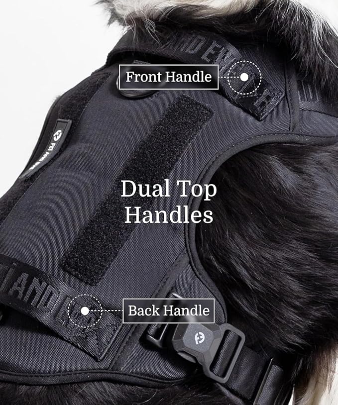 Fei & Eve MagEase Dog Harness - 3-Second Magnetic Buckles | 3-Point No-Pull Control | Heavy-Duty 900D Nylon | Dual Safety Handles | Breathable Mesh | Adjustable Fit | Large,Black