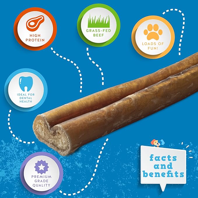 Jack&Pup 12 Inch Bully Sticks for Large Dogs (5 Pack) Thick Odor Free Bully Sticks, Long Lasting Pizzle Sticks for Dogs