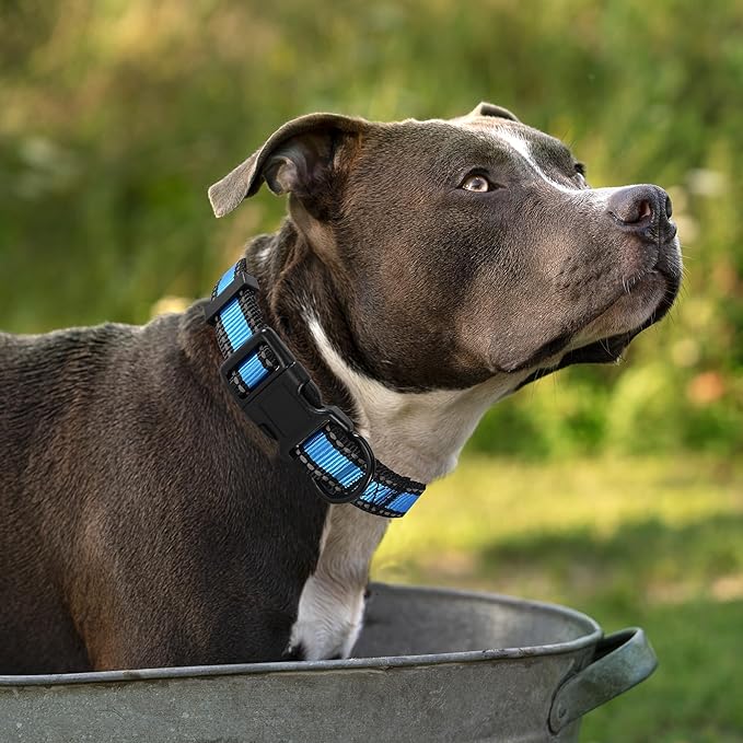 Mile High Life Dog Collar | Nylon Reflective Dog Collars | Light Weight Puppy Collars | Blue Dog Collars for Small Dogs (Blue, X-Small)