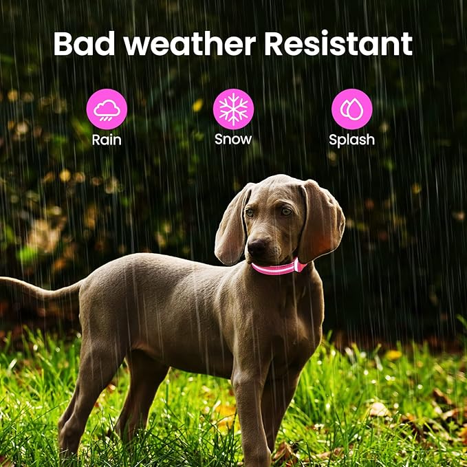 MASBRILL Light Up Dog Collar - RGB LED, Rechargeable, Water-Resistant Glow Up Night Walking Collar for Small to Large Dogs
