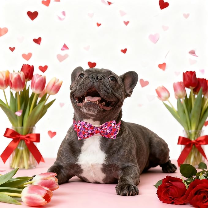 Maca Bates Valentine's Day Dog Collar with Fancy Bow for Extra Small Girl Boy Dogs,Tiedyed Love Hearts Pattern,Adjustable Durable Soft Valentine Gift for Female Male Puppy