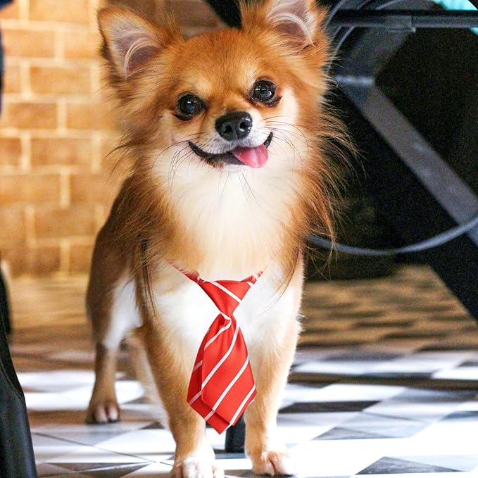 Segarty Dog Ties, 30pcs Adjustable Pet Neck Ties Collar for Small Dogs Cats, Double Layered Puppy Bowties Pets Necktie Grooming Bows for Wedding Valentine Photography Holiday Party Christmas