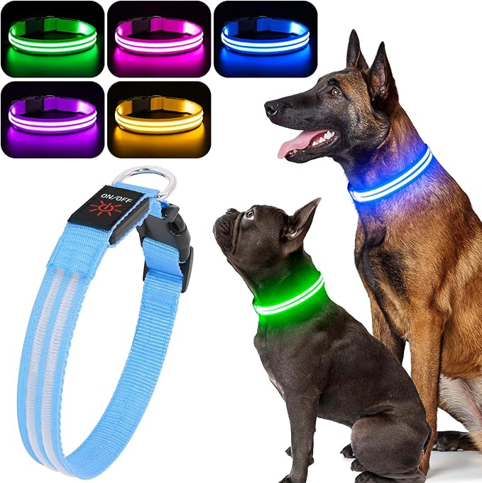 BSEEN Light Up Dog Collar - High Visibility LED Dog Collar Rechargeable Glow in The Dark Pet Collars Safety Dog Lights for Night Walking (Blue, Large)
