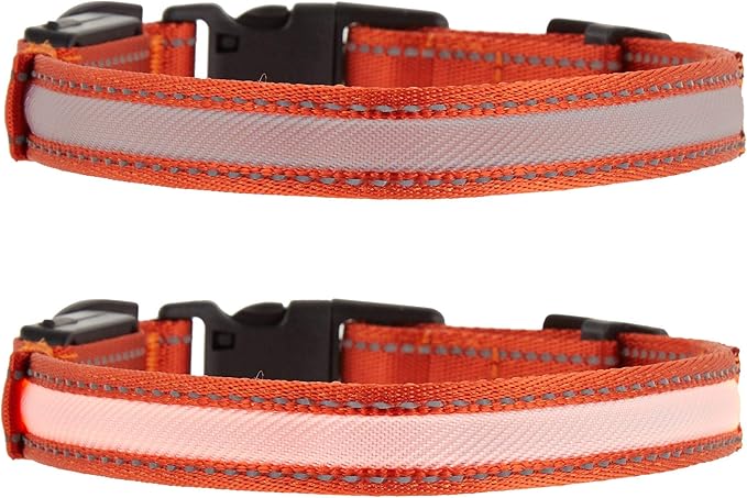 TOP PAW LED + Reflective Orange Dog Collar~X-Large~