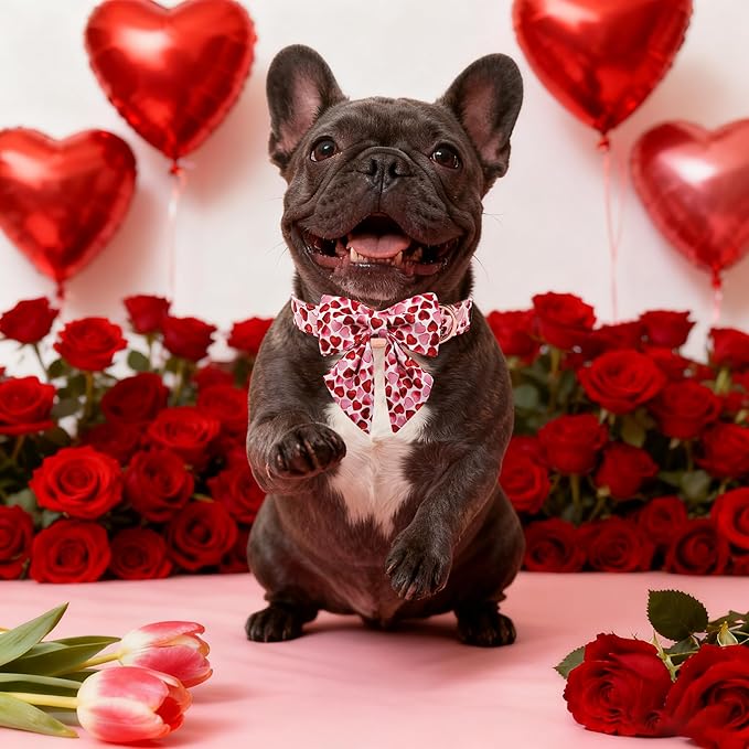 Maca Bates Valentine's Day Dog Collar with Sailor Bow for Extra Small Girl Boy Dogs,Red Love Hearts Pattern,Adjustable Durable Soft Valentine Gift for Female Male Puppy