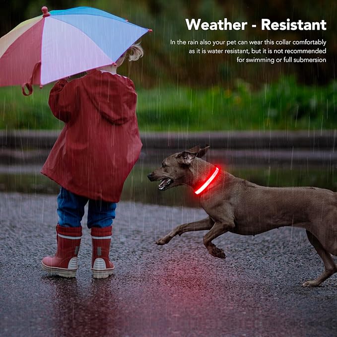 LED Light Up Dog Collars Micro USB Rechargeable Waterproof, Full Adjustable Lighted Glow Dark Dog Collar Light for Night Walking for Small Medium Large Dogs, Red