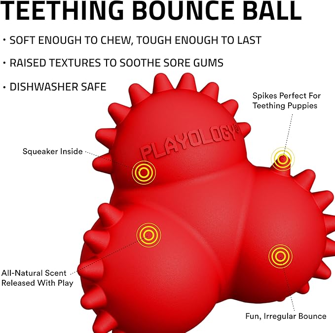 Playology Dog Toys | Puppy Toy Teething Bounce Ball Designed for Young & Active Dogs | Medium Beef Scented Toy Made from Non Toxic Materials