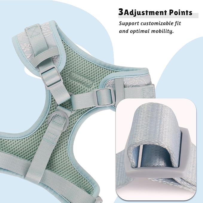 No Pull Dog Vest Harness for Small&Medium Dogs, Side Clip Adjustable Pet Vest, Soft Breathable, Fashion Dog Harnesses for Walking, Running, Shopping (Light Blue, XS)