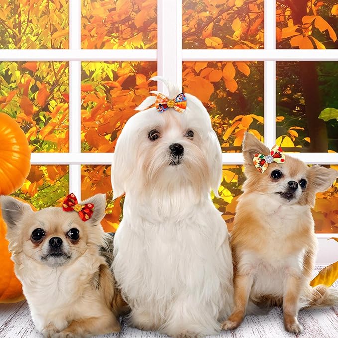 Tondiamo 100 Pack Thanksgiving Dog Hair Bows with Rubber Bands Puppy Rhinestone Grooming Pumpkin Turkey Pattern Accessories for Small Girl