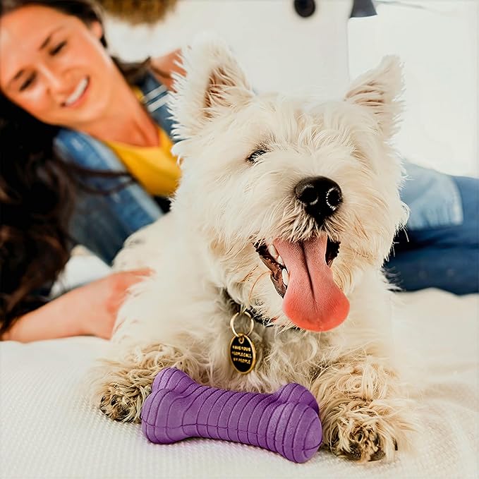 Playology Dog Toys | Dual Layer Bone Durable Chew Toy Bone for Dogs (Value 2-Pack) | Medium Bacon Scented Toy - Easy to Clean and Made from Non Toxic Materials