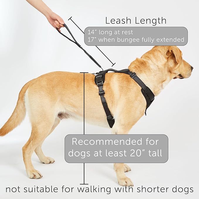TUG Grab Dog Harness | Integrated Traffic Leash Magnetically Attached for Quick Control (Medium/Black)
