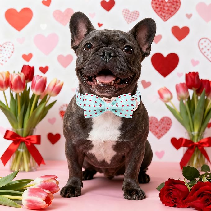 Maca Bates Valentines Dog Collar with Bow Comfortable Soft Heart Dog Collar with Metal Buckle Adjustable Puppy Collar Valentine's Day Gift for Small Medium Large Dog
