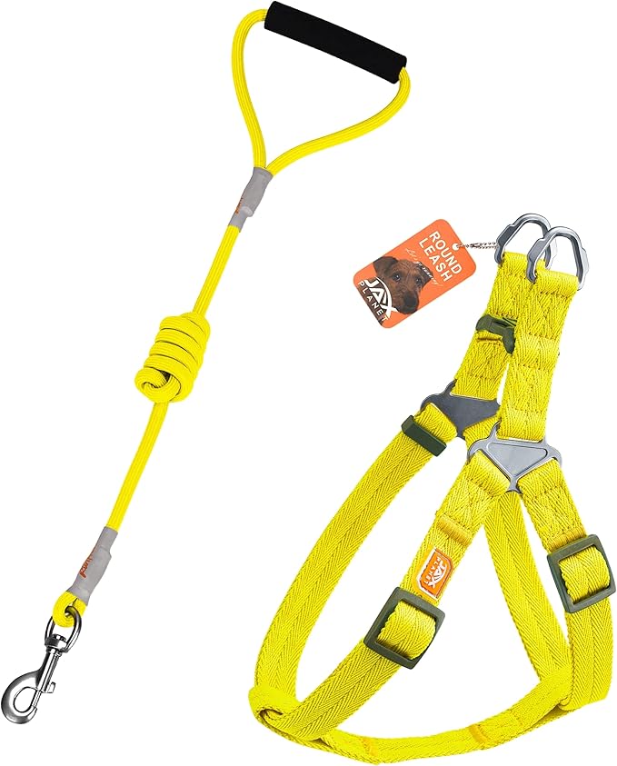 Dog Harness and Leash - Comfortable Leash and Harness for Small, Medium, Large Dogs - Perfect for Training, Includes D-Ring [Yellow S]