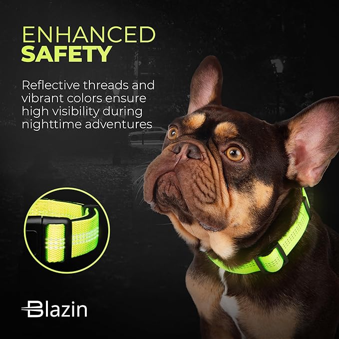 BLAZIN Reflective Dog Collar - Vibrant Color for Day and Night - Soft Neoprene Padded Collar - Adjustable Sizing -'Color Me Happy!' Dog Collars - Brighter Means Safer - (Small, Blue)
