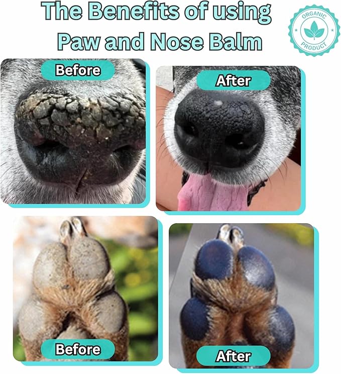 Lick-Safe Organic Paw & Nose Balm for Dogs, Cats – All-Natural, Hypoallergenic – Heals, Protects & Restores Dry, Cracked Paws, Snouts & Elbows – Aloe, Avocado Oil, Beeswax 1.75 oz - (2 Pack)