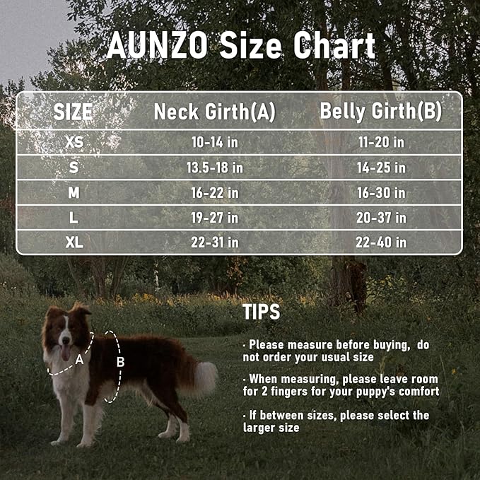 Small Dog No Pull Harness for French Bulldog Puggle Terriers, Pet Harness with Reflective Strip Soft Padded Handle, Adjustable Vest Harness for Walking Hiking Training, Geometric Pattern, Purple, S