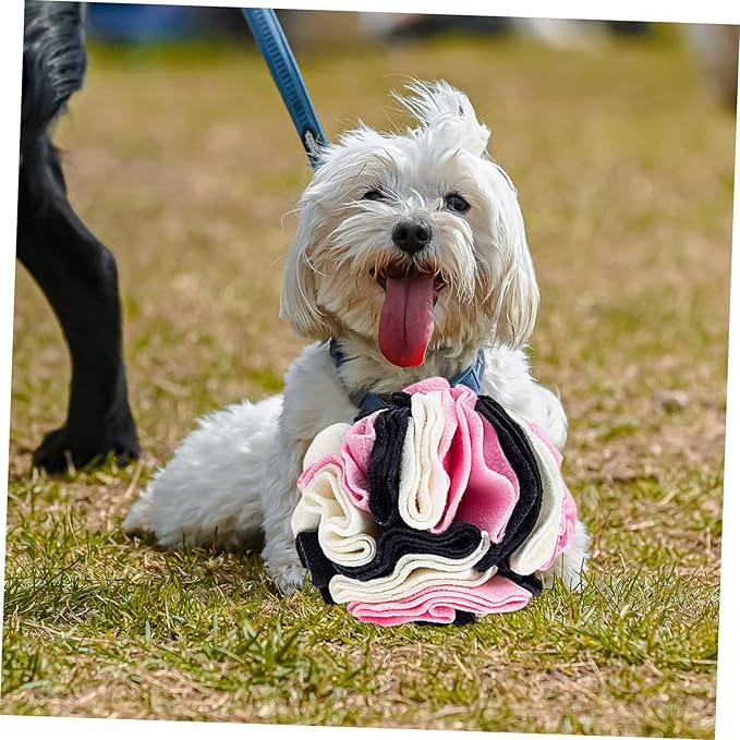 Pet Dog Sniff Toy Snuffle Ball Interactive Puppy Chewing Game Slow Feeder for Curious Dogs