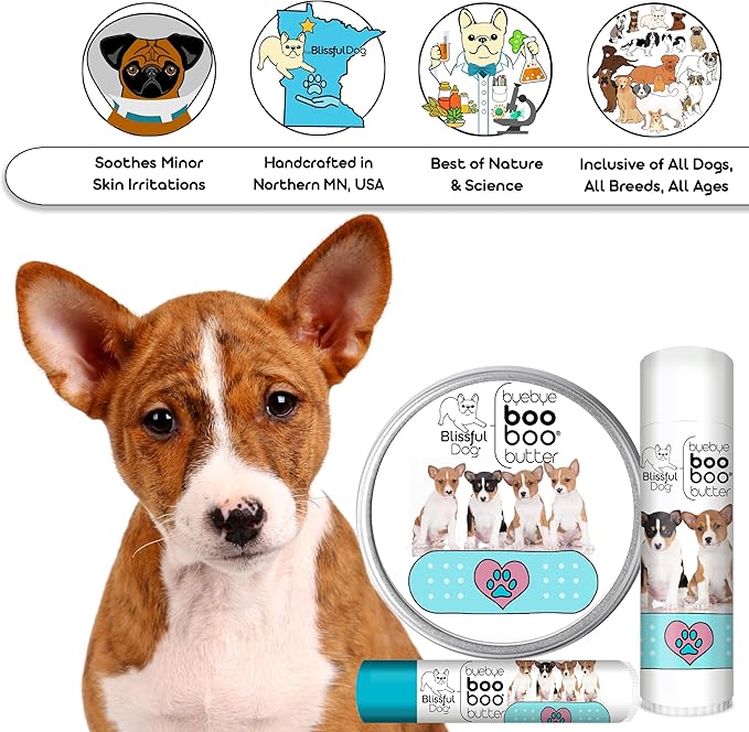 The Blissful Dog Basenji Boo Boo Butter, 4-Ounce