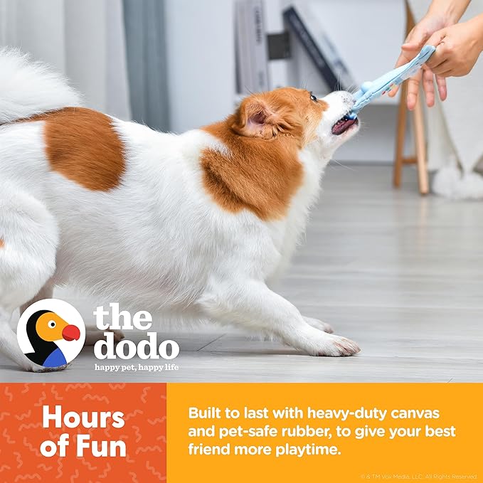 The Dodo Woodland Animals Stuffingless 2pc Dog Toy Set: Bear & Tree; No Plush Squeaky Bear Flattie Dog Toy + Rubber Tree Chew Toy; Durable Toys for Dogs