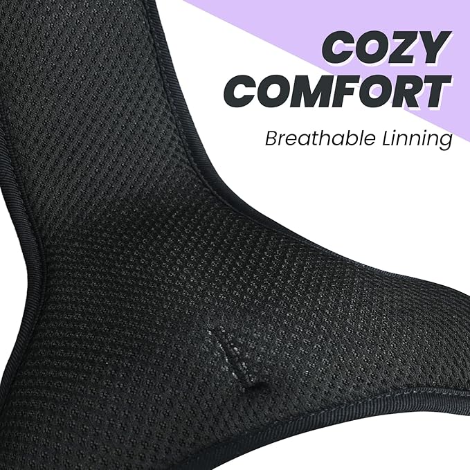 VIVAGLORY Dog Harness Easewalk No Pull Dog Harness with Handle Front Clip & Back Clip for Training Walking Lifting, No Pull Adjustable Easy On Padded Comfortable for Pet, M, Purple - Plain